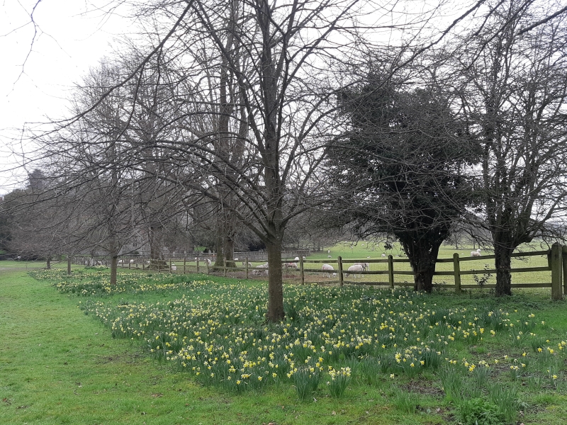 Chawton House